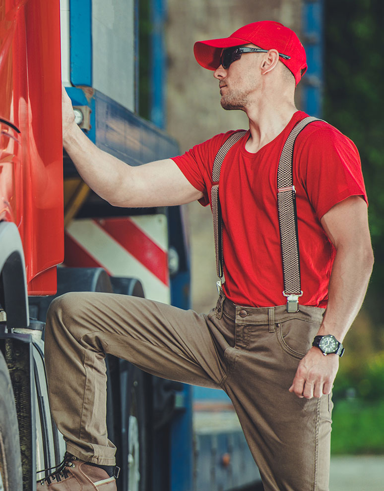 soluciones de transporte de vehículos